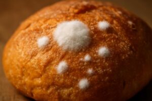 パン の白カビの見分け方と危険性｜食べても大丈夫？