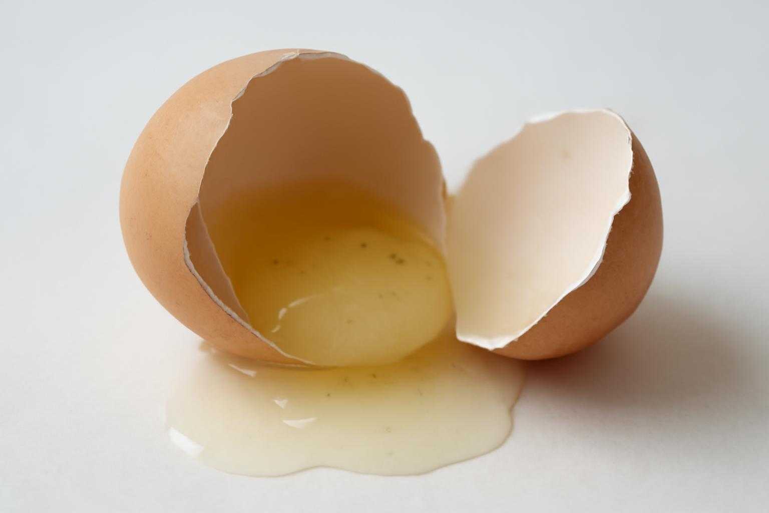 卵白が腐るとどうなる?危険な見分け方と食中毒対策